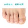 Ingrown Toenail Relief Nail Correction Patch