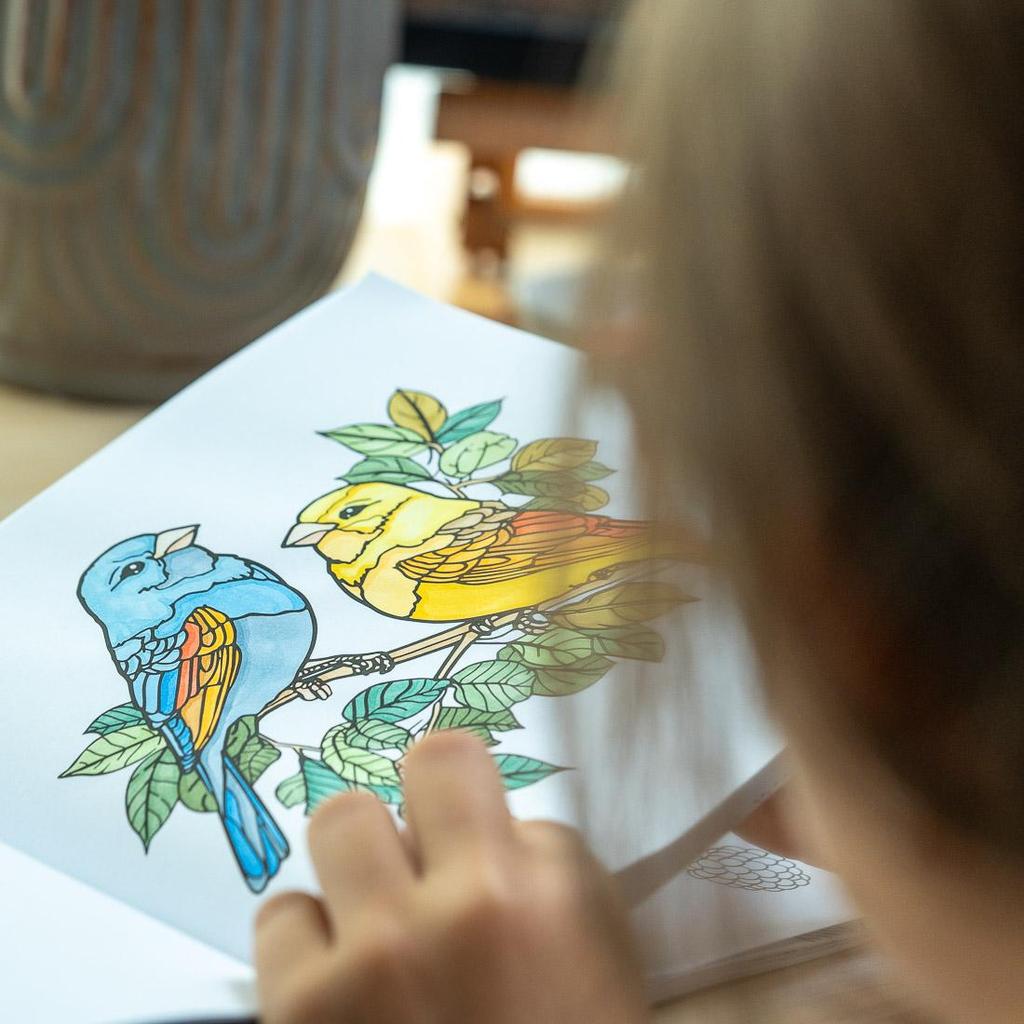 Livre de coloriage pour adultes Livre de coloriage pour enfants