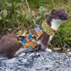 Multicolor Ferret Harness and Leash Set Traction Rope Squirrel Floral Skirt  Pet Supplies