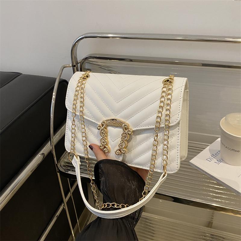 Stylish Fall Season Chain Crossbody Bag For Women Trendy Small Handbag 2024