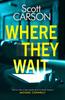 Where They Wait by Scott Carson Paperback Book 9781787396487