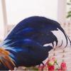 Realistic Rooster Hen Plush Pillow Lifelike 3D Print Soft Fluffy Fabric Stuffed Toy for Home Decor Kids Sleep Companion Gift