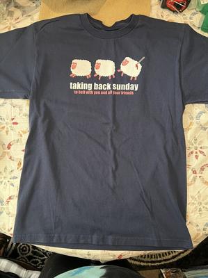 Taking Back Sunday To Hell With You And Your Friend T Shirt Full Size S-5XL