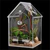 Reptile – Terarii pentru reptile