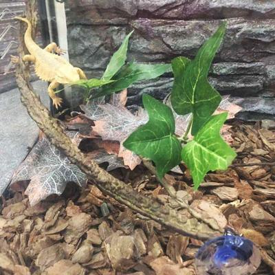 Lizard Climbing Vines Fake Plant Breeding Tank Landscape Accessories Bearded Dragon Playing Toy Artificial Leaves Reptile Vines Terrarium Tank Reptile