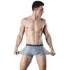 Summer Ice Silk Boxers Mens Underwear U Convex Boxer Men Mesh Seamless Shorts Pants Size L-5XL