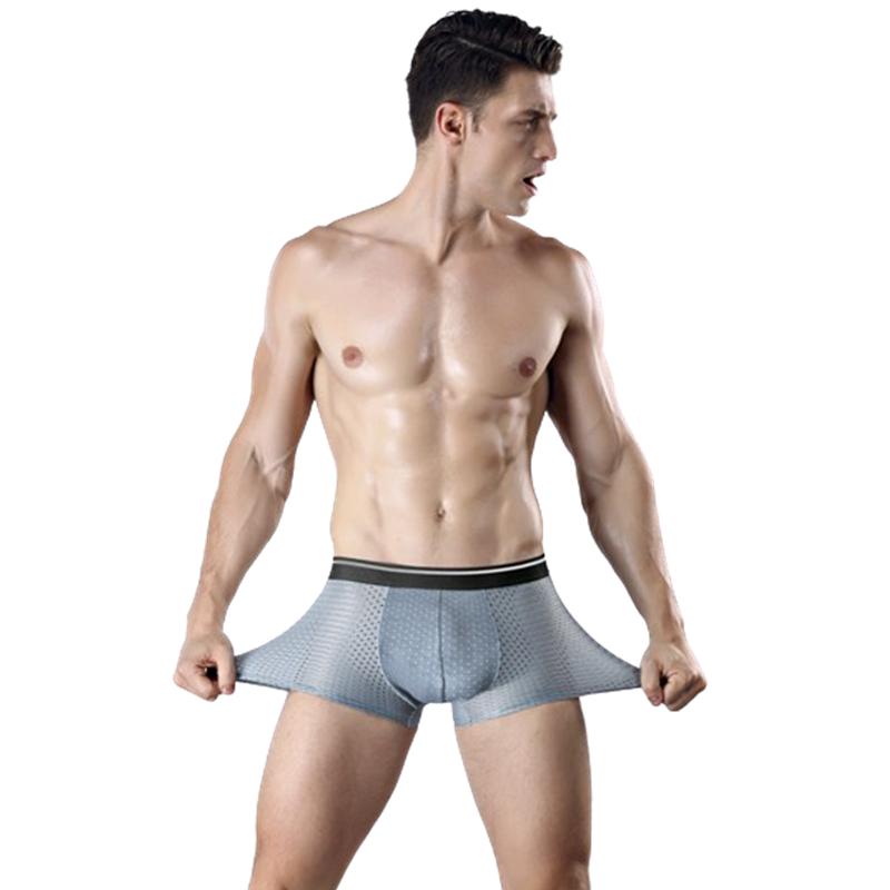 Summer Ice Silk Boxers Mens Underwear U Convex Boxer Men Mesh Seamless Shorts Pants Size L-5XL