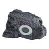 Reptile – Terarii pentru reptile