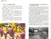 Japanese Wine WINES of JAPAN [Japanese-English Translation Bilingual Edition] (A Comprehensive Guide To Wines and Wineries of Japan)