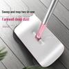 Push-Type Household Sweeper: Two-in-One Broom for Easy Home Cleaning