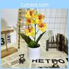 Orchid Butterfly Artificial Flower Bouquet For Home Decor And Event Arrangements