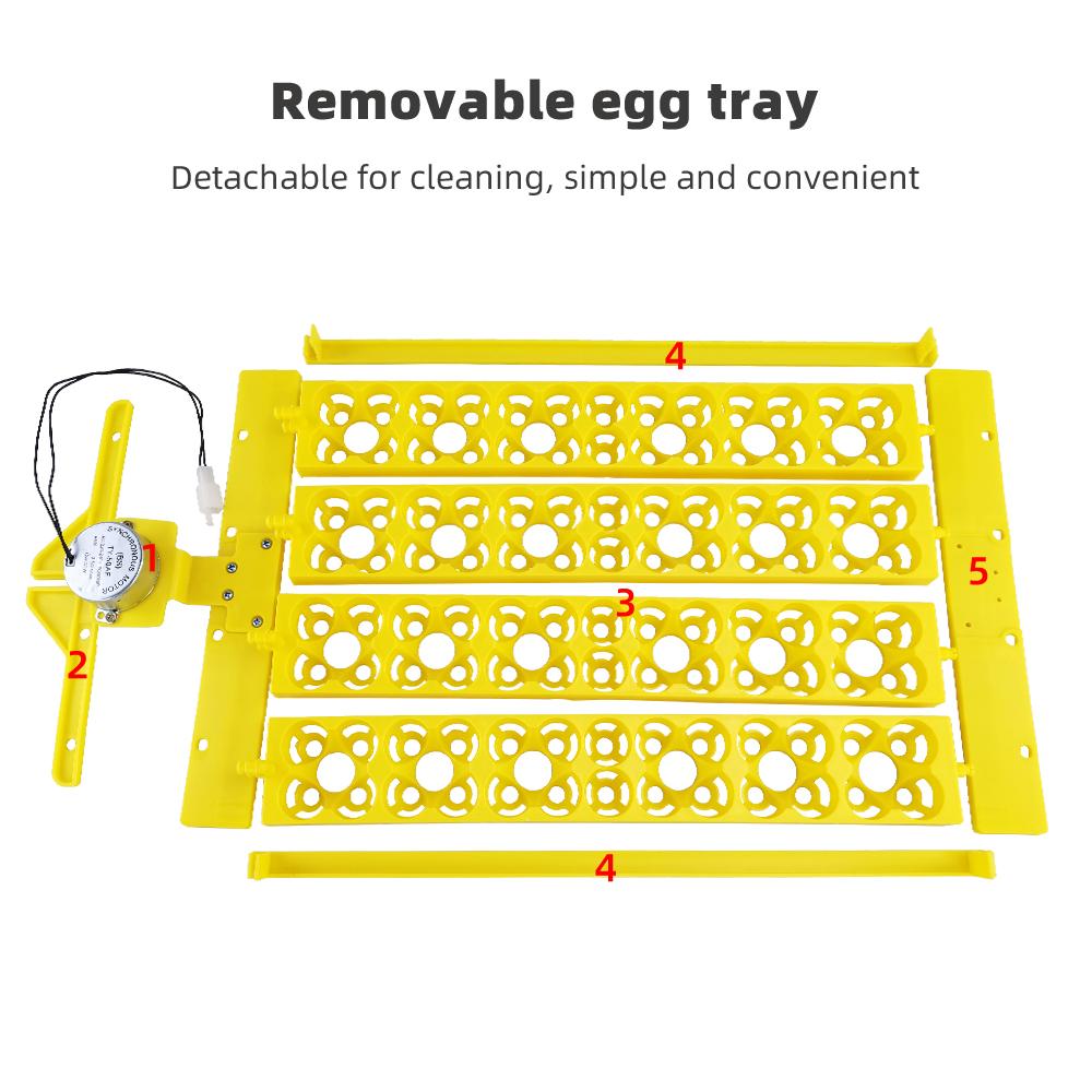 24 Eggs Incubator 12V 110V 220V Egg Tray Eggs Turning Automatic Egg Hatching Incubator for Quail  Goose Duck Bird Poultry