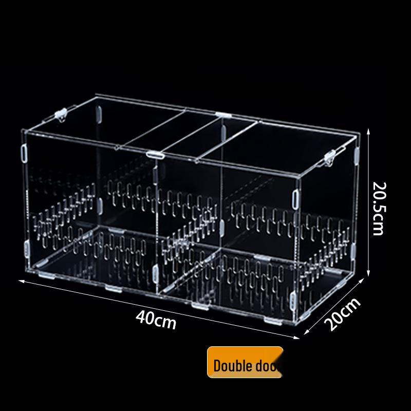 Small Acrylic Reptile Habitat: Transparent Observation Box for Spider, Lizard, Mantis, and Rainforest Landscape