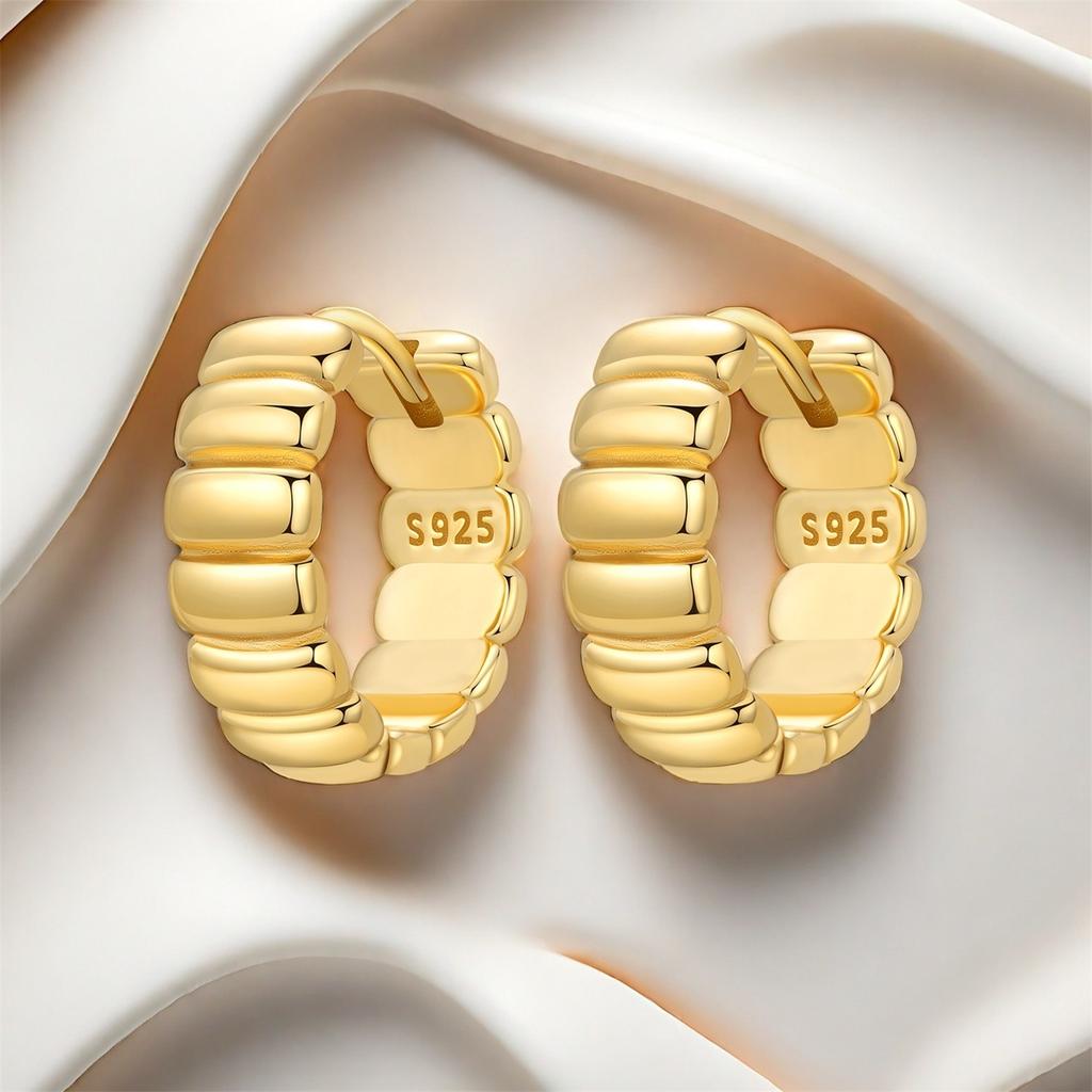 Orstarry S925 Silver 18k Gold Modern Square Hoop Earrings For Women Trendy Jewelry Anniversary Gifts
