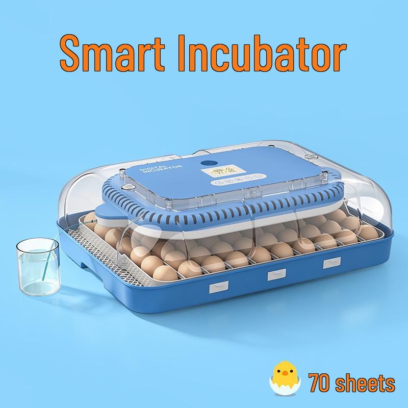 Smart Mini Egg Incubator for Parrots and Budgies: Automatic Pet Hatchery Equipment