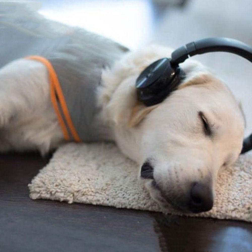 Elastic Dog Calming Shirt Reflective Pet Soothing Clothes Dog Coat Dog Rainy Vest  for Dogs and Cat