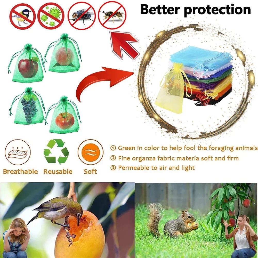 10-100PCS Grape Fruit Protective Bag Plant Growth Bag Garden Bird Proof Net Vegetable Strawberry Insect Proof Bag Garden Tool