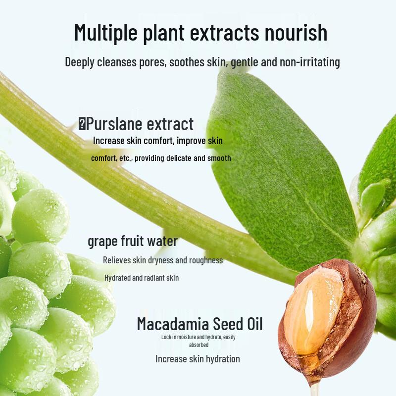 Xuelifei Frucht- und Gemüse Tiefenreinigende Gesichts-Massagecreme