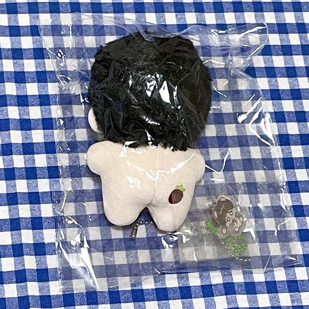 [USED] BTS (Bangtan Boys) Taehyung Plush Toy 10cm (12.5cm)