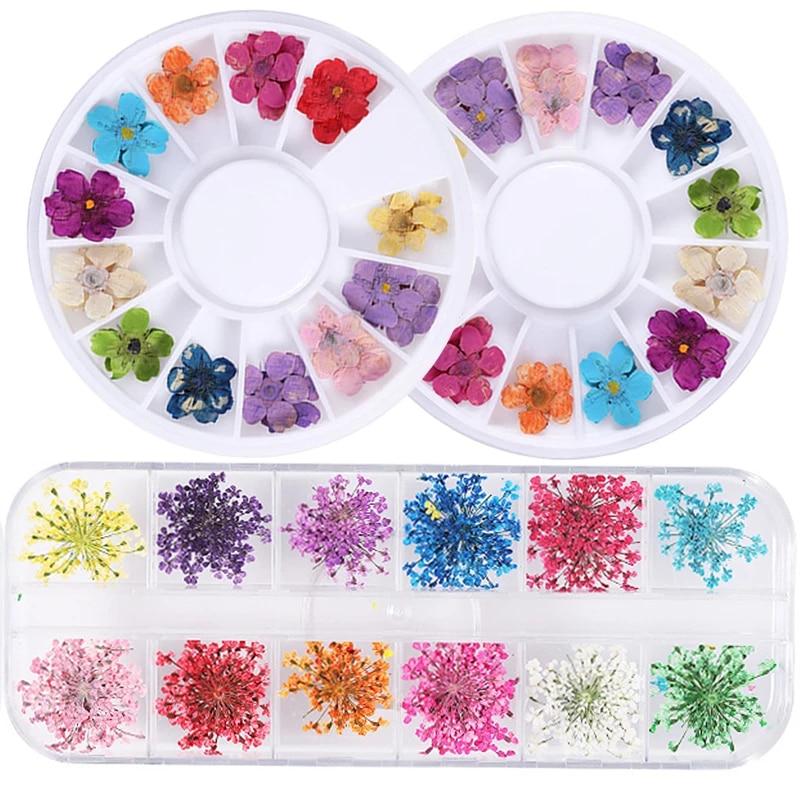 1Box Dried Flowers Dry Plants for Rsein Molds Fillings Epoxy Resin Pendant Tweezers Jewelry Making Craft DIY Nail Art Decoration