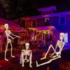 Realistic Full Body Hanging Skeleton with Movable Joints Halloween Haunted House Props Terrifying Skull Decoration