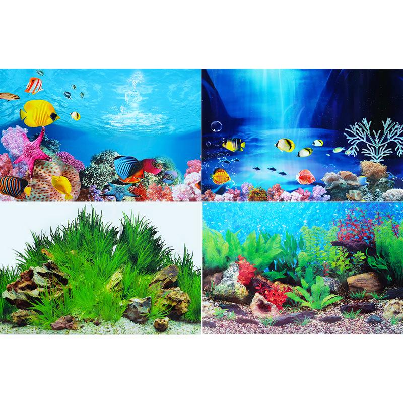 3D HD Double-Sided Aquarium Background Wallpaper