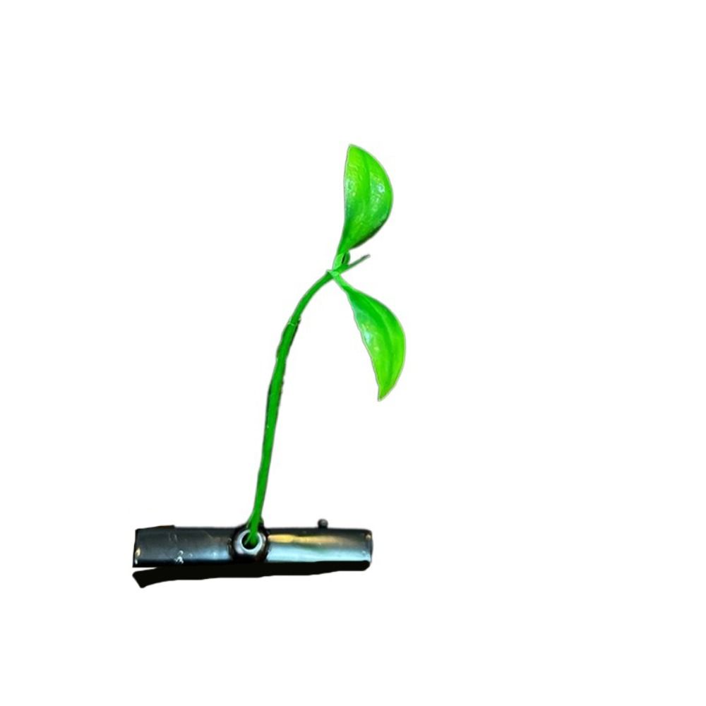 1Pair Simulation Bean Sprout Hair Clip Mushroom Cartoon Duckbill Clips Flower Plant Hairpins  Daily