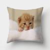 Cute Cat Print Decorative Cushions Pillowcase Polyester Cushion Cover Throw Pillow Sofa Living Room Decoration Pillowcover