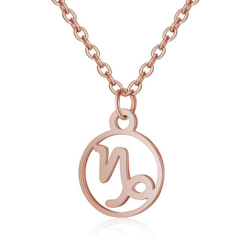 Stainless Steel Zodiac Pendant Necklace with Thin Chain