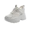 8CM Inner Height Increase Dad Shoes Women's 2025 New Spring and Summer Mesh Shoes Women's Breathable Mesh Casual Small Women's Shoes