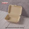 Degradable Square Takeaway Lunch Box with Lid