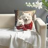 1pc Pillowcase, Modern Samoyed Dog Winter Hug Pillow Cover, Soft And Comfortable Polyester Short Plush Fabric, Single-Sided Printing, Multi-Size Optio