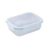 ZISIZ Heat-Resistant Glass Lunch Box Set