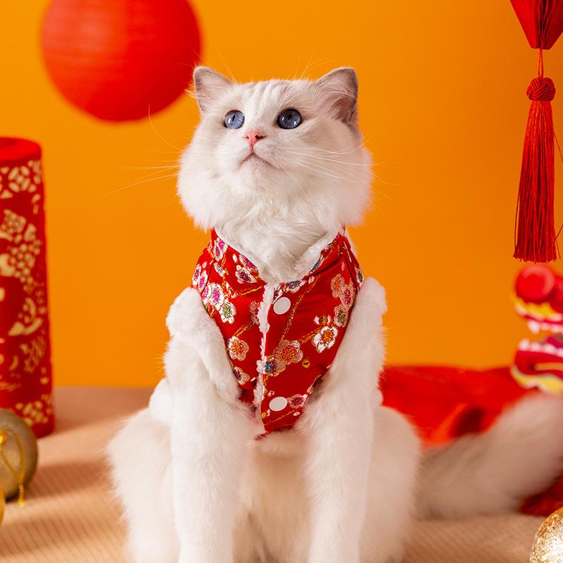 New Year's pet clothes bronzing and velvet to keep warm and festive New Year's winter two-legged vest cat puppy dog clothing