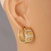 Geometric Pattern Sparkling Hoop Earrings for Women Elegant Hollow Out Round Earrings Fashion Daily Party Jewelry