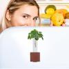 Magnetic Wooden Test Tube Flower Vase Glass Minimalist Propagation Station Fridge Locker Office Mini Planter Locker Mini Planter