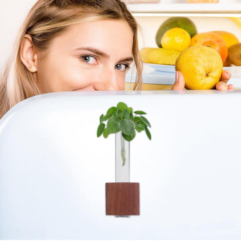 Magnetic Wooden Test Tube Flower Vase Glass Minimalist Propagation Station Fridge Locker Office Mini Planter Locker Mini Planter