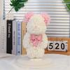 Macaron Bear & Flower Gift: Perfect for New Year, Valentine's, Birthday - Ideal for Best Friends, Girlfriends, or Kids