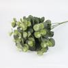 Robusta Eucalyptus Simulated Smith Used For Landscape And Wedding Floral Design