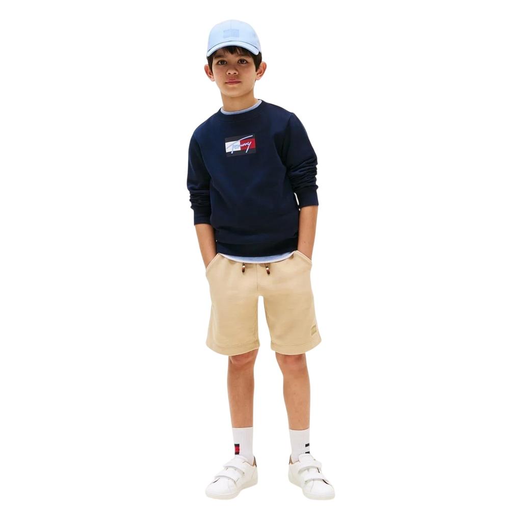 Tommy Hilfiger Childrens/Kids Cotton Blend Crew Neck Regular Sweatshirt