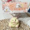 1Pc Silicone Pinch Decompression Prop Cute Hamster Squeeze Toy Tpr Fidget Sensory Toys For Kids Adults Gift