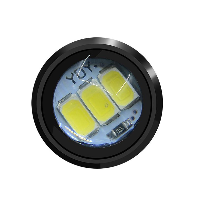 Automobil LED Adleraugen Lichter Rückfahrscheinwerfer Kennzeichenleuchten Motorrad Blinker Bremslichter