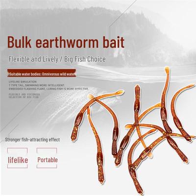 Integrated Earthworm Soft Fishing Lures for Omnivorous Fish - Artificial Imitation Lures Available Now