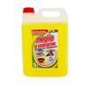 Meglio Degreasing Liquid 5L
