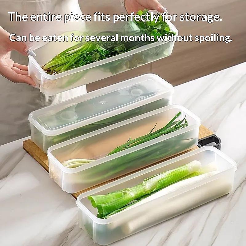 Clear Plastic Fridge Herb Storage Container Bpa Free Fresh Keeping For Storing Cilantro Scallions Vegetables Home Kitchen