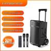 SANSUI A12 Portable KTV Trolley Speaker with Dual Wireless Microphones CN plug (adapter included)