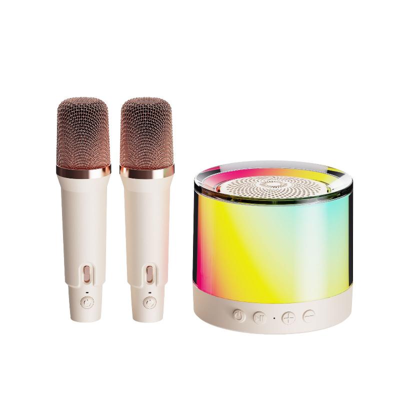 Mini K-song Stereo All-in-one Machine, High Sound Quality, Double Wheat Joint Singing, Long Battery Life, Portable Portable Bluetooth Stereo
