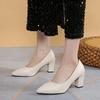 2024 Brand Shoes for Women Slip On Women's High Heels Concise Office & Career Pumps Women Pointed Toe Chunky Heels Shoes Ladies
