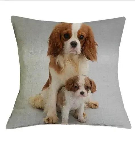Cavalier King Charles Spaniel Bedrukte Serie Bank Creatieve Kussenhoes Eenvoudige Kussensloop Huisdecoratie Feest
