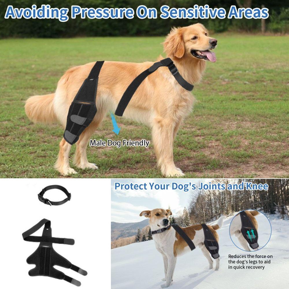 Verstellbare Hunde-Knieorthese Atmungsaktiver Knie-Wundschutz für Haustiere für Hinter- und Vorderbeine